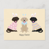 Cartes Pour Fêtes Annuelles Joyeux Chiens d'excursion de Pâques Labrador (Devant)