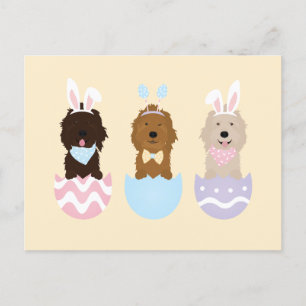 Cartes Pour Fêtes Annuelles Joyeux Chiens Goldendoodle de Pâques