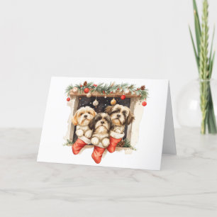 Cartes Pour Fêtes Annuelles Joyeux Chih Tzu Chiens de Noël Shih