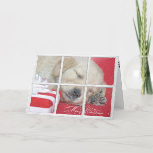 Cartes Pour Fêtes Annuelles Joyeux chiot Noël-d'or de chien d'arrêt