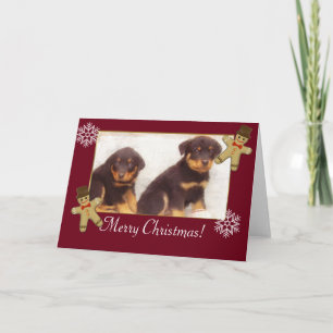 Cartes Pour Fêtes Annuelles Joyeux chiots Rottweiler de Noël