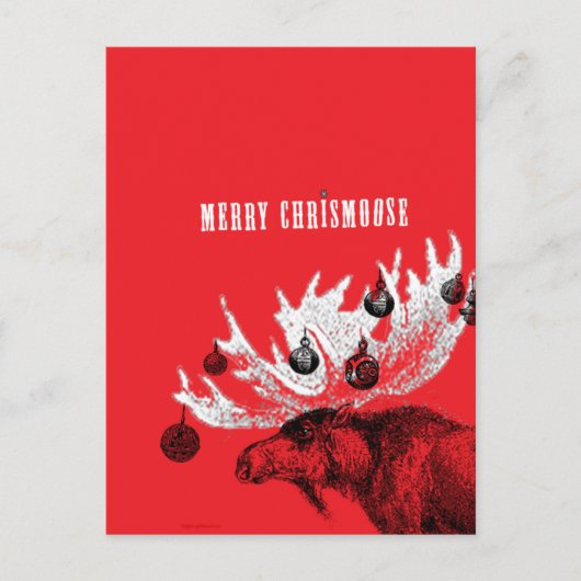 Cartes Pour Fêtes Annuelles joyeux chrismoose (Devant)