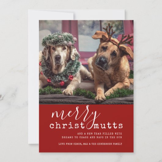 Cartes Pour Fêtes Annuelles Joyeux Christ MUTTS Chien photo mignonne simple (Devant)