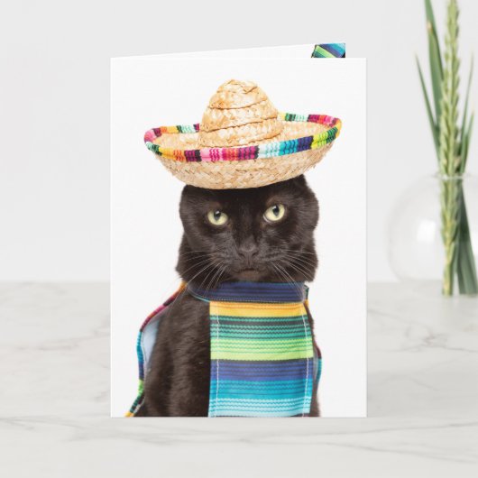 Cartes Pour Fêtes Annuelles Joyeux Cinco De Mayo Chat dans l'Humour de Sombrer (Devant)