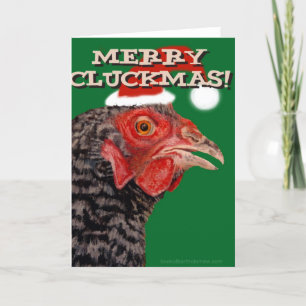 Cartes Pour Fêtes Annuelles Joyeux Cluckmas !