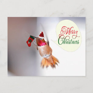 Cartes Pour Fêtes Annuelles Joyeux colibri de Noël avec réserve de Noël
