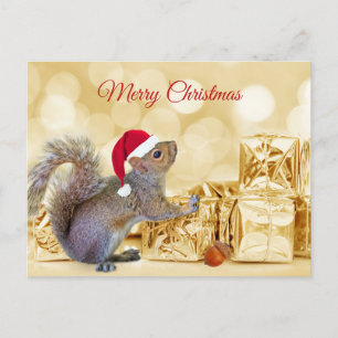 Cartes Pour Fêtes Annuelles Joyeux écureuil de Noël à Santa Hat & Cadeaux
