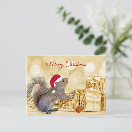 Cartes Pour Fêtes Annuelles Joyeux écureuil de Noël à Santa Hat & Cadeaux (Debout devant)