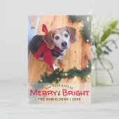 Cartes Pour Fêtes Annuelles Joyeux et brillant chien Beagle Bow rouge photo No (Debout devant)