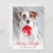 Cartes Pour Fêtes Annuelles Joyeux et brillant Rouge Script One Photo Noël (Devant)