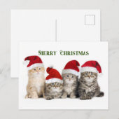Cartes Pour Fêtes Annuelles Joyeux félins de Noël (Devant / Derrière)