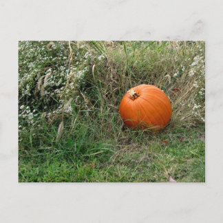 Cartes Pour Fêtes Annuelles Joyeux Halloween/Thanksgiving !