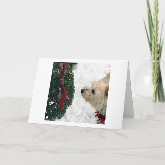 Cartes Pour Fêtes Annuelles Joyeux Howlidays ! (Devant)