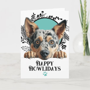 Cartes Pour Fêtes Annuelles Joyeux Howlidays Australian Cattle Dog Noël