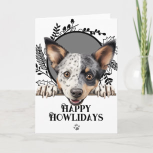 Cartes Pour Fêtes Annuelles Joyeux Howlidays Australian Stumpy Dog Noël