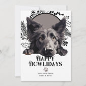 Cartes Pour Fêtes Annuelles Joyeux Howlidays Chien belge Sheepdog Noël (Devant)