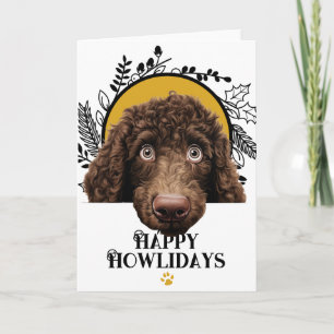Cartes Pour Fêtes Annuelles Joyeux Howlidays Chien Irish Water Spaniel Noël