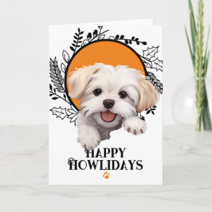 Cartes Pour Fêtes Annuelles Joyeux Howlidays chien maltais Noël