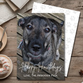 Cartes Pour Fêtes Annuelles Joyeux Howlidays mignon chien photo Noël