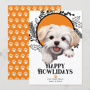 Cartes Pour Fêtes Annuelles Joyeux Howlidays Noël de chien maltais