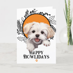 Cartes Pour Fêtes Annuelles Joyeux Howlidays Noël de chien maltais