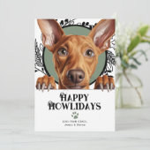 Cartes Pour Fêtes Annuelles Joyeux Howlidays Pharaoh Hound Dog Noël (Debout devant)