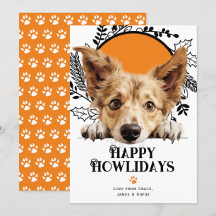 Cartes Pour Fêtes Annuelles Joyeux Howlidays portugais Podengo Pequeno