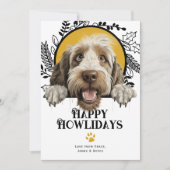 Cartes Pour Fêtes Annuelles Joyeux Howlidays Spinone Italiano Chien Noël (Devant)