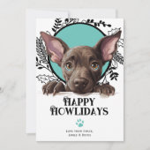 Cartes Pour Fêtes Annuelles Joyeux Howlidays Xoloitzcuintli Chien Noël (Devant)