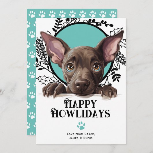 Cartes Pour Fêtes Annuelles Joyeux Howlidays Xoloitzcuintli Chien Noël (Devant / Derrière)