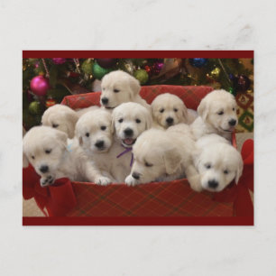 Cartes Pour Fêtes Annuelles Joyeux marionnettes Golden Retriever