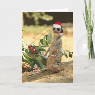 Cartes Pour Fêtes Annuelles Joyeux Meerkat
