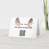 Cartes Pour Fêtes Annuelles Joyeux Noё l - Aurora Borealis (Dos)