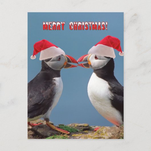 Cartes Pour Fêtes Annuelles Joyeux Noël (Devant)