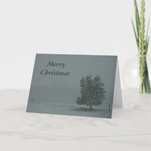 Cartes Pour Fêtes Annuelles Joyeux Noël