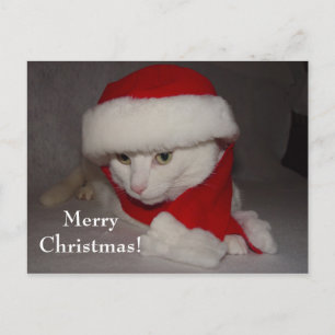 Cartes Pour Fêtes Annuelles Joyeux Noël !