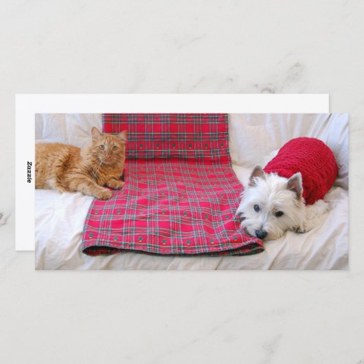 Cartes Pour Fêtes Annuelles Joyeux Noël (Devant / Derrière)