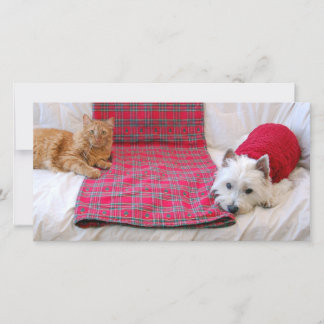 Cartes Pour Fêtes Annuelles Joyeux Noël