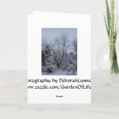 Cartes Pour Fêtes Annuelles Joyeux Noël (Dos)