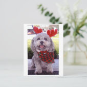 Cartes Pour Fêtes Annuelles Joyeux Noël (Debout devant)