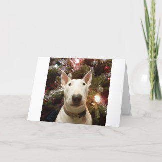 Cartes Pour Fêtes Annuelles Joyeux Noël