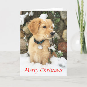 Cartes Pour Fêtes Annuelles Joyeux Noël