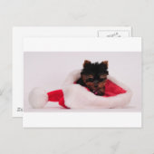 Cartes Pour Fêtes Annuelles Joyeux Noël (Devant / Derrière)