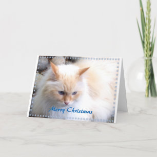 Cartes Pour Fêtes Annuelles Joyeux Noël