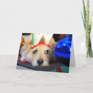 Cartes Pour Fêtes Annuelles Joyeux Noël
