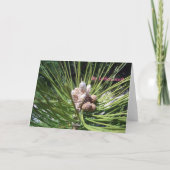 Cartes Pour Fêtes Annuelles Joyeux Noël... (Dos)