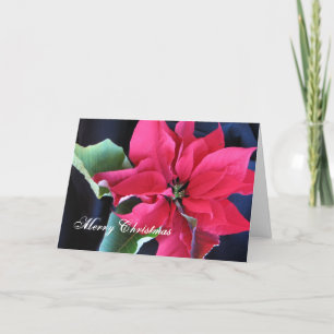 Cartes Pour Fêtes Annuelles Joyeux Noël