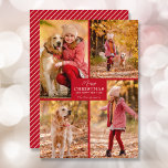 Cartes Pour Fêtes Annuelles Joyeux Noël 4 Photo Collage<br><div class="desc">Votre nom de famille et l'accueil Joyeux Noël et Joyeux Nouvel An en lettres chic sur rouge avec votre photo collage préféré sur le devant et vos prénoms au verso de ces cartes de voeux de vacances. PLUS DE COULEURS dans notre magasin. Le service Live Design peut vous aider à...</div>