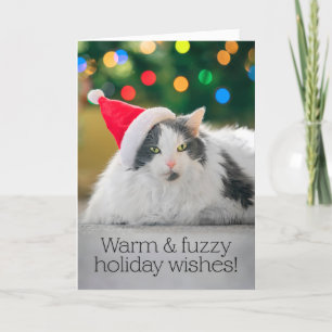 Cartes Pour Fêtes Annuelles Joyeux Noël à quiconque Chat chaud et flou