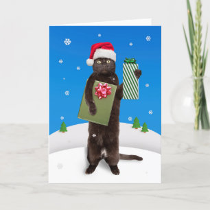 Cartes Pour Fêtes Annuelles Joyeux Noël à tous Chat noir avec des cadeaux